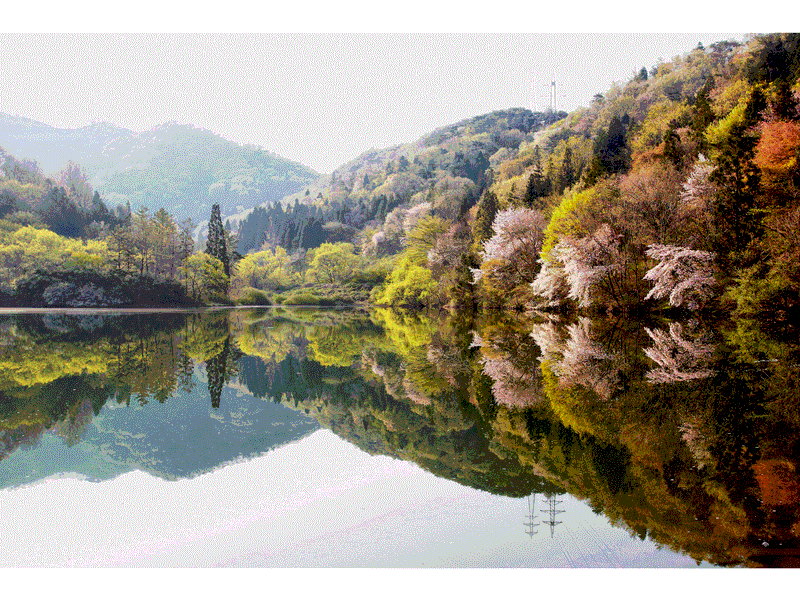 사진 = 제8경 세량지