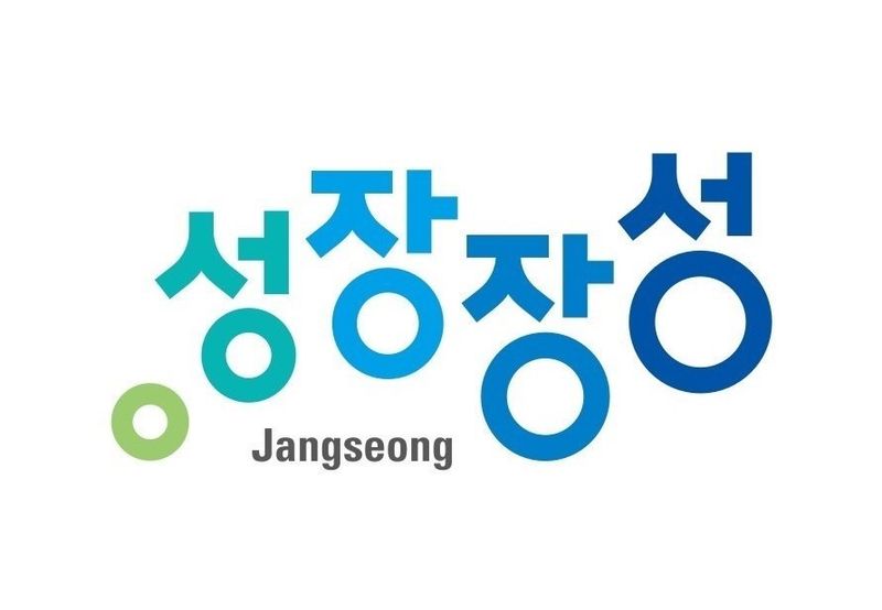 사진 = 장성군 BI 성장장성