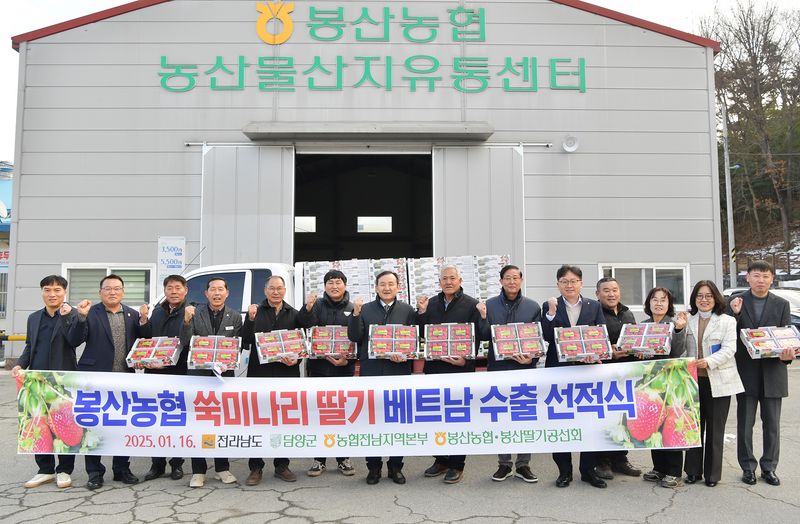 사진 = 담양 딸기, 베트남으로 올해 첫 수출 시작 