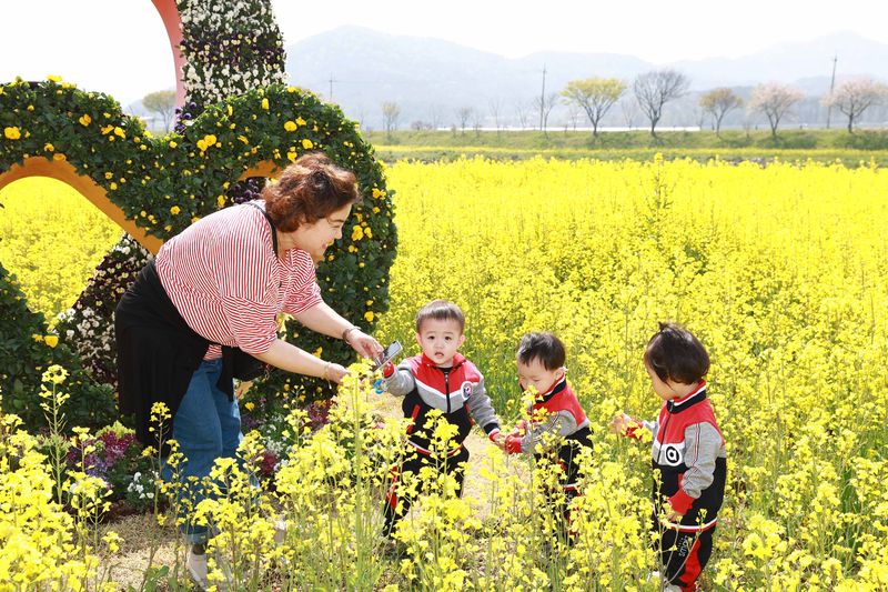 사진 = 2025 화순 봄꽃 축제장 꽃강길 풍경