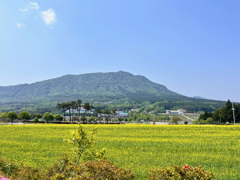 사진설명 = 