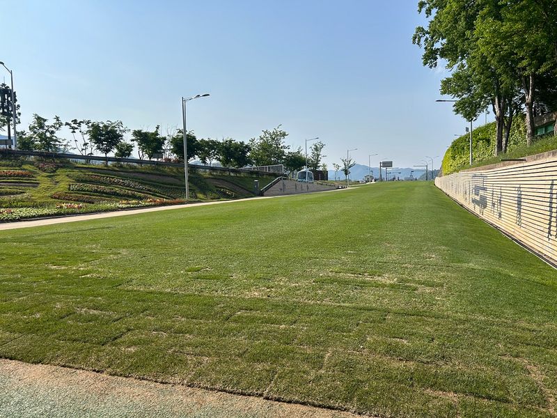 사진설명 = 포지잔디 활용(그린아일랜드)
