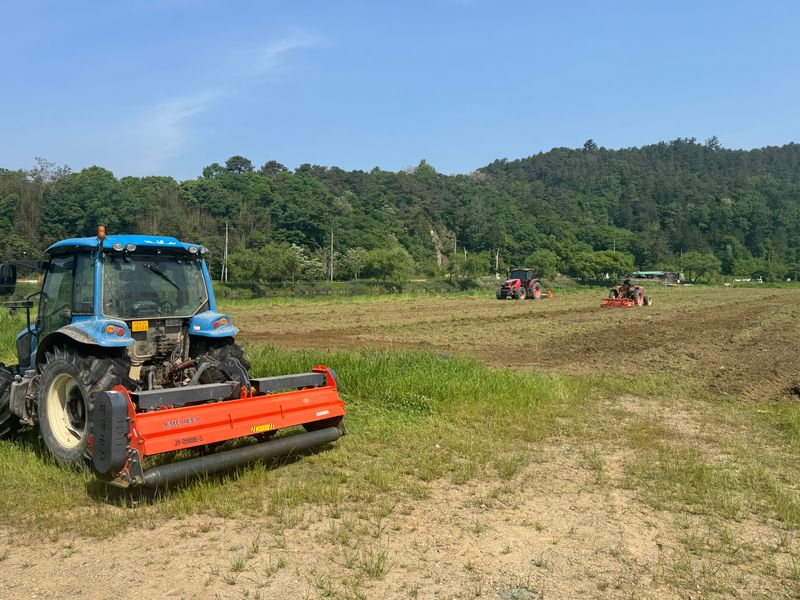사진설명 =14일 나산강변 나들이공원 일대, 꽃밭조성 풀베기 봉사활동 사진
