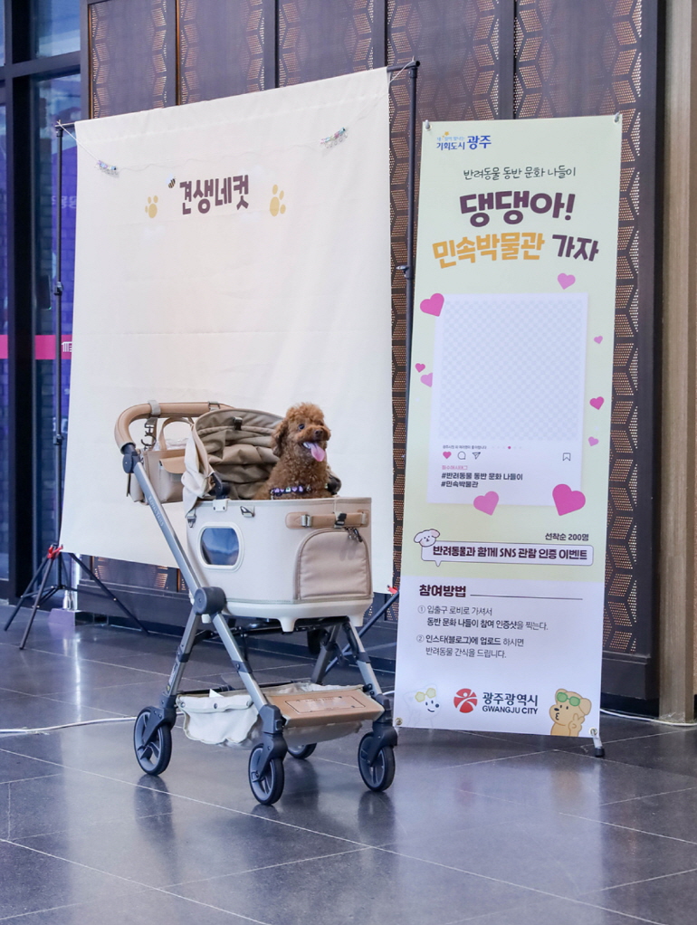 사진설명 = 광주광역시, 반려동물 동반 문화나들이