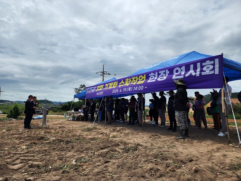 사진설명 =지난 19일, 신안군 지도읍에서 ‘양파 기계 수확 현장 연시회’를 개최했다.