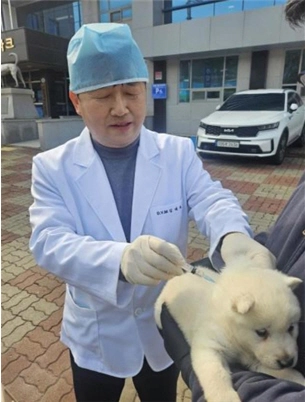 사진설명 = 진도군, 천연기념물 진도개 ‘방문 진료’ 큰 호응