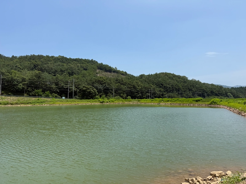사진설명 = 화순군 사평면 벽송2제 저수지 전경