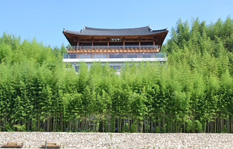 사진설명 = 죽녹원