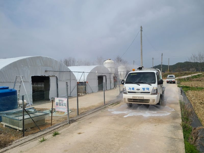 사진설명 = 보건환경연구원 동물의료지원반 가축방역