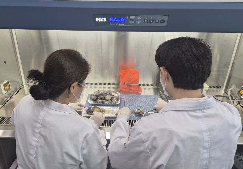 사진설명 = 비브리오패혈증 검체 검사