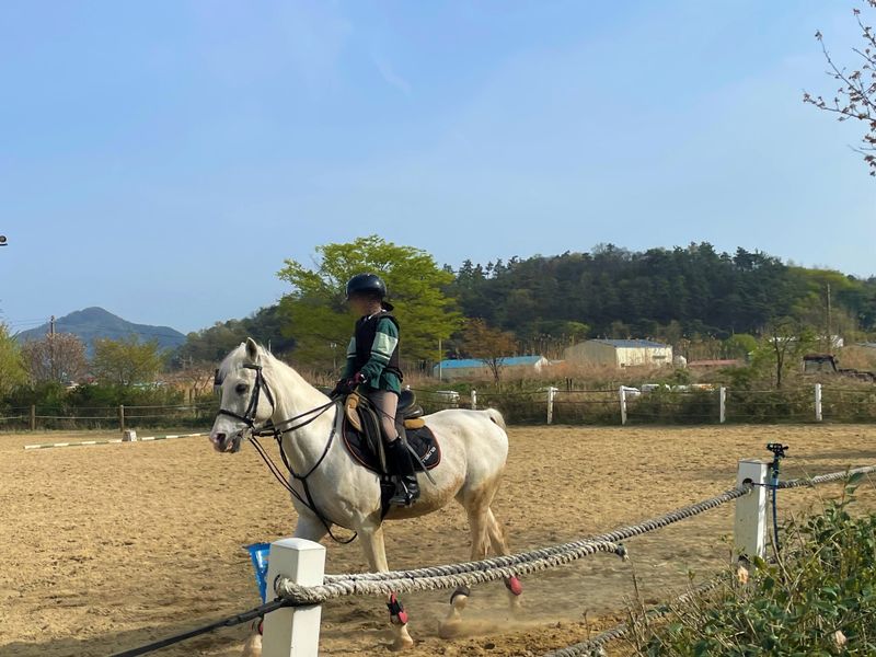 사진설명 = 나주시가 지난 3월부터 학생 승마체험 지원사업을 진행하고 있다. 사진은 유소년 승마체험 모습. (사진제공-나주시)