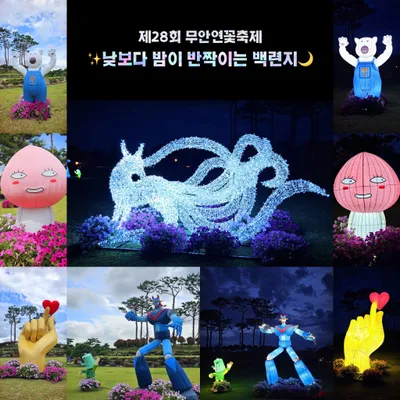무안군, 여름의 시작을 알리는 ‘제28회 무안연꽃축제’, 6월 26일 개막