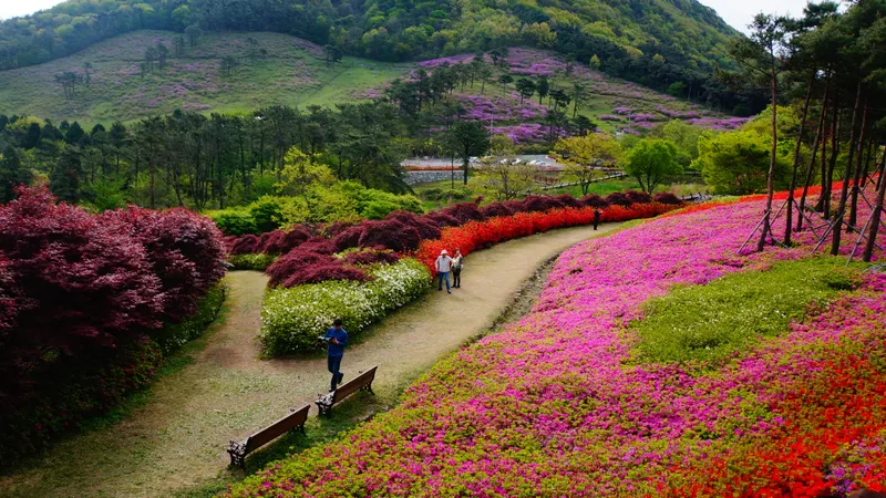 사진 = 제5경 만연산철쭉공원