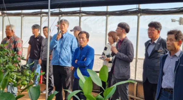 사진 = 고흥군, 노동력 절감 고품질 레드향 경영모델 선보여!