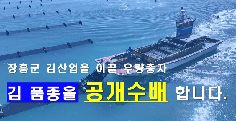 사진 = 우량 김 품종 발굴