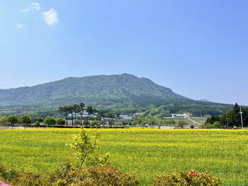 사진설명 =