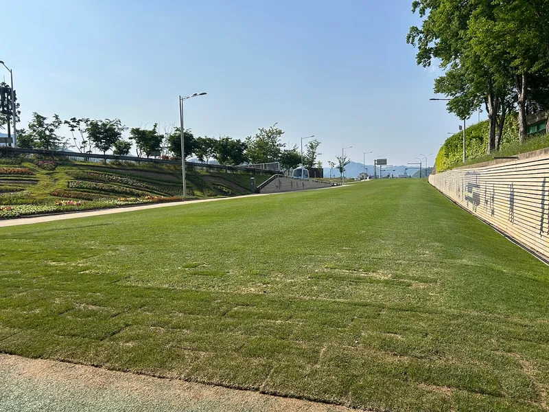 사진설명 = 포지잔디 활용(그린아일랜드)