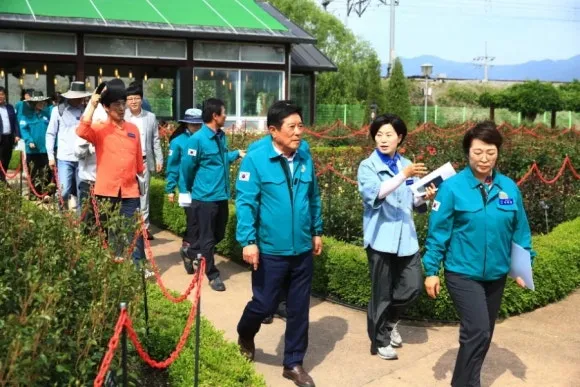 사진설명 = 곡성섬진강기차마을 내 장미축제 현장점검