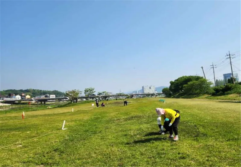 사진설명 = 장흥파크골프협회, 자발적 환경정화 봉사활동