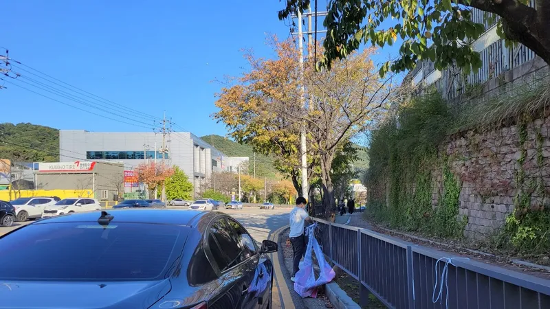 사진설명 = 불법 현수막 정비