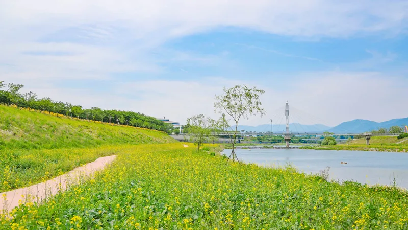 사진설명 = 구례군, 서시천 고수부지 꽃밭 조성