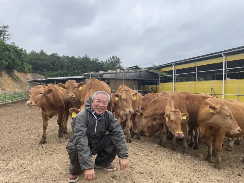 사진설명 = 고흥군, ICT 기반 한우 사육으로 ‘동물복지 축산농장’ 1호 탄생(대서면 송유종 농가)
