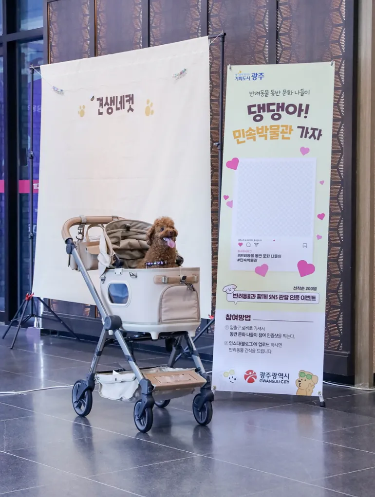 사진설명 = 광주광역시, 반려동물 동반 문화나들이