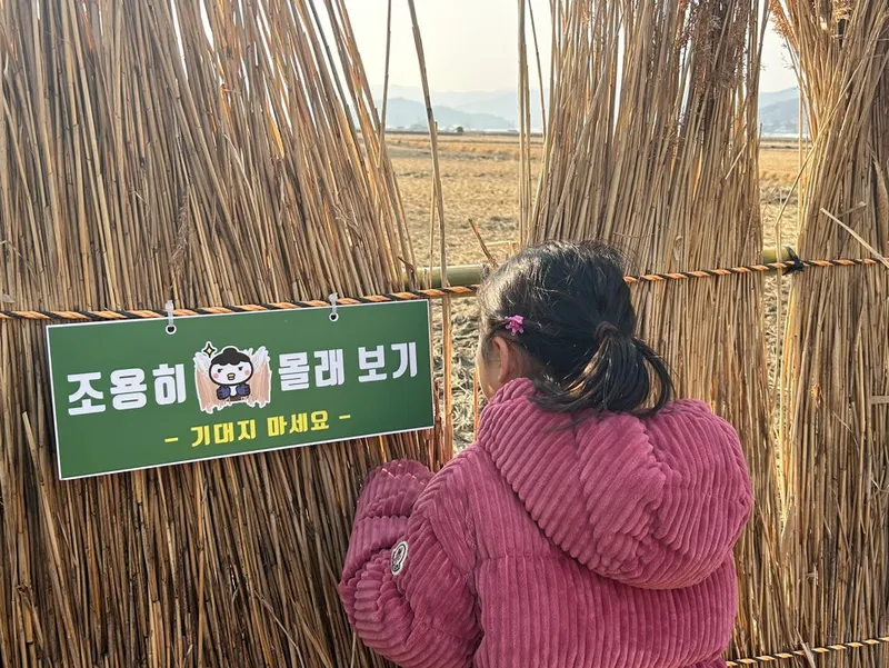 사진설명 = 순천만습지에서 탐조활동 중인 어린이