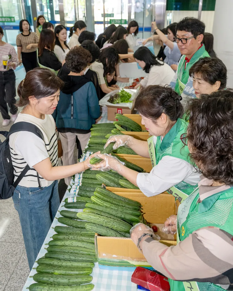 사진설명 = 서구, 환경의 날 맞아 채식 캠페인 전개