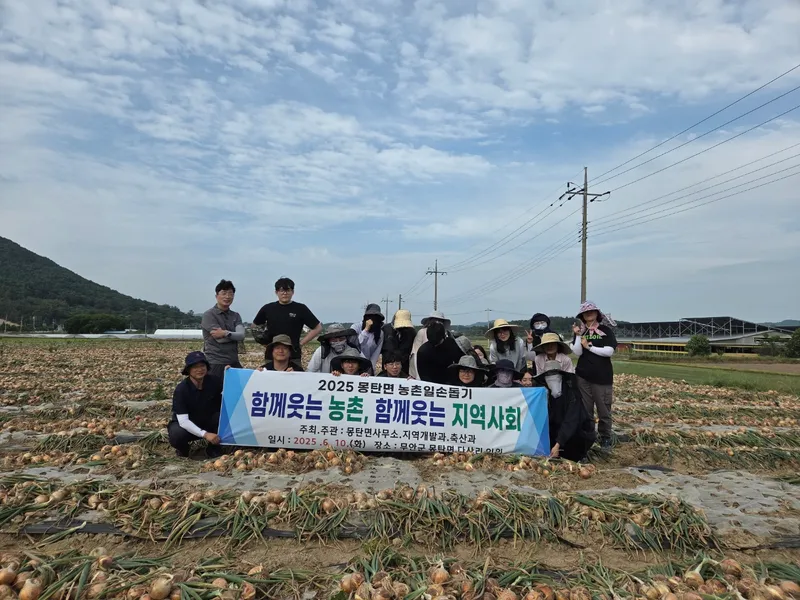 사진설명 = 몽탄면 고령 농가에서 진행된 양파 수확 일손돕기