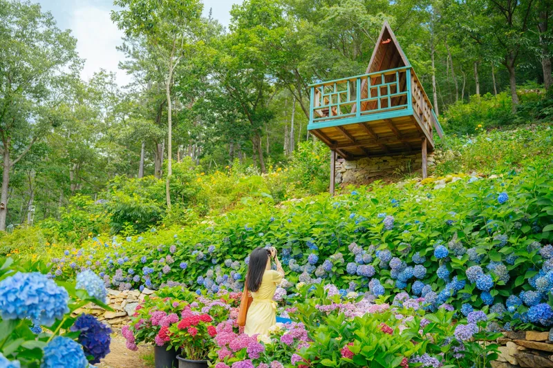 사진설명 = 포레스트수목원
