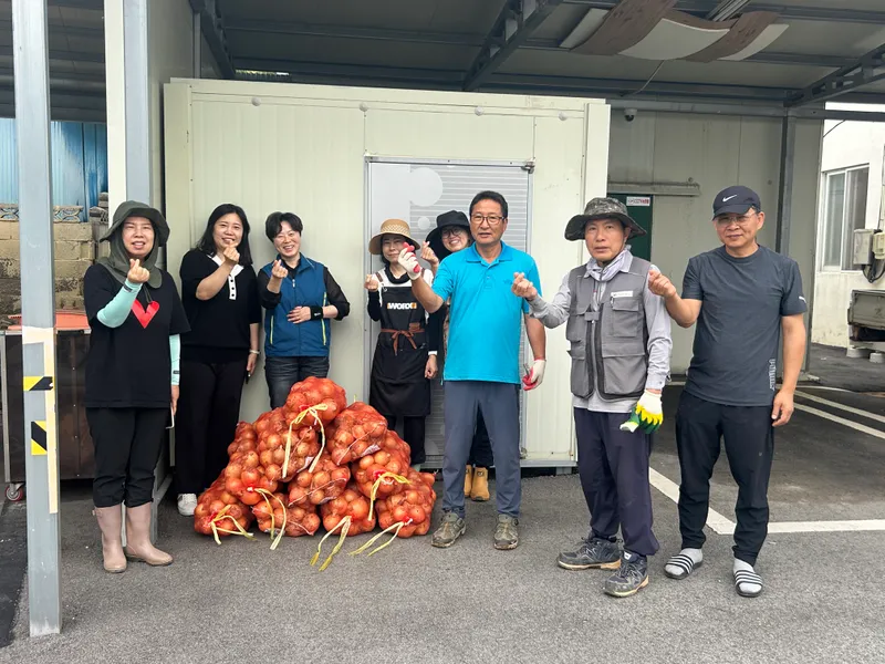 사진설명 = 양파 전달 사진 및 수확 사진