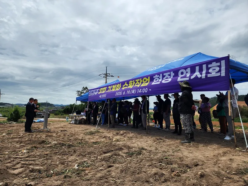 사진설명 =지난 19일, 신안군 지도읍에서 ‘양파 기계 수확 현장 연시회’를 개최했다.