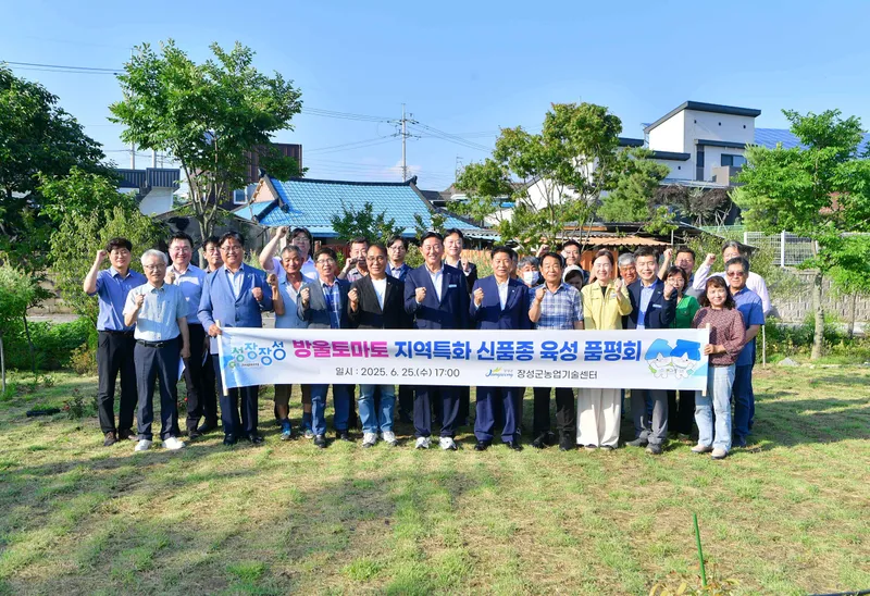 사진설명 = 장성군이 25일 신품종 방울토마토 'TS샛별' 품평회를 가졌다.